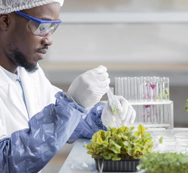 Femmes souriantes avec produits cosmétiques